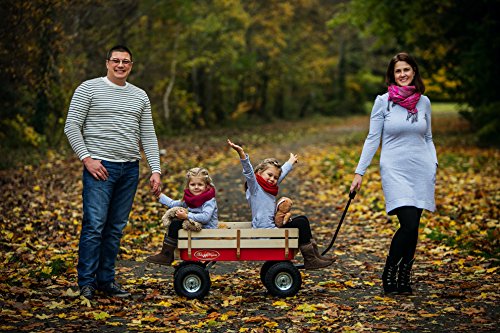 TOBY WAGONS Bollerwagen Kinder Luftreifen Europas Bestseller handwagen